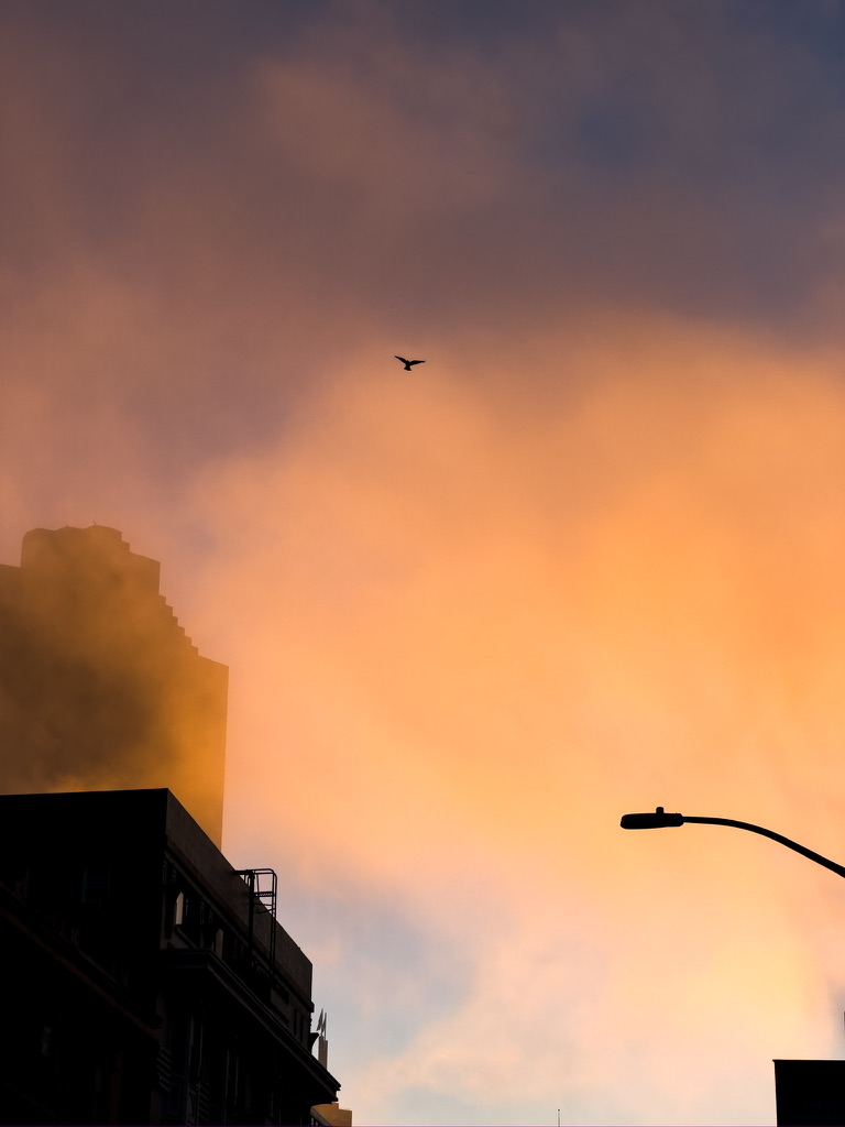 The Fog of San Francisco California as Sunset (2024)