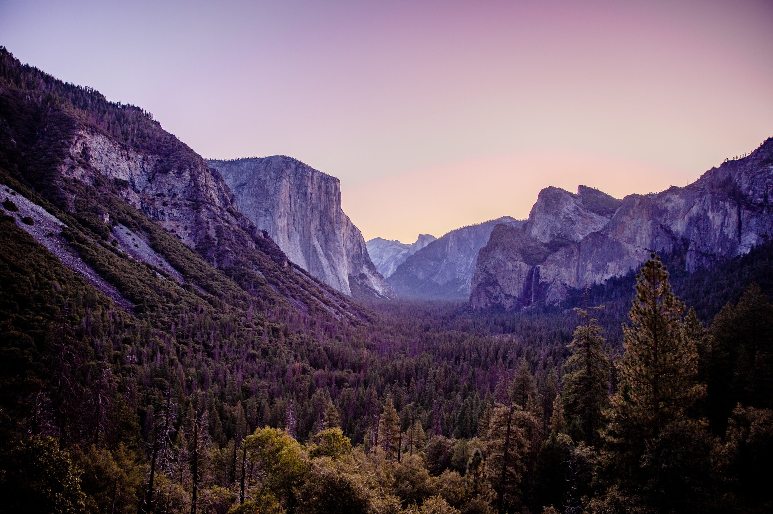 The Greatest Trip in the World – San Francisco to Yosemite