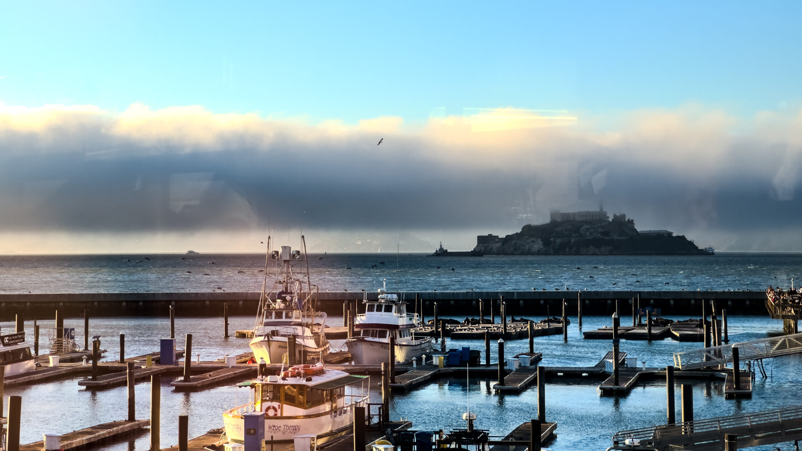 Alcatraz from Fog Fish Harbor House - Pier 39 in San Francisco (2021)