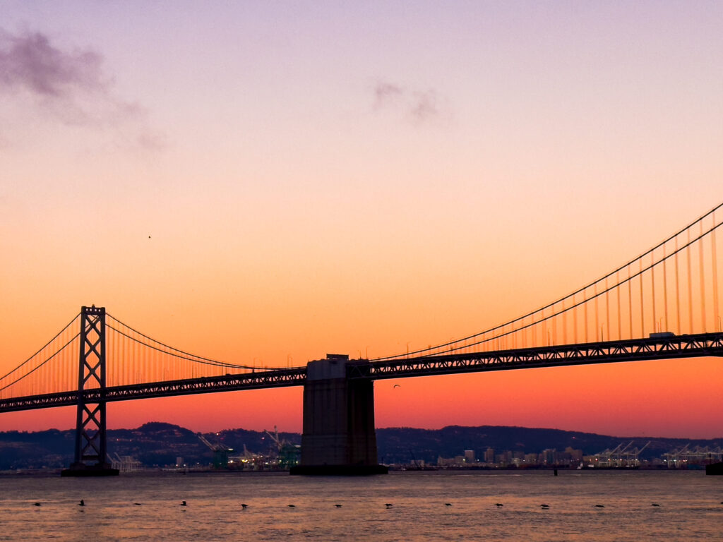 Cormorants Flying Near the San Francisco – Oakland Bay Bridge at Sunset (2024)