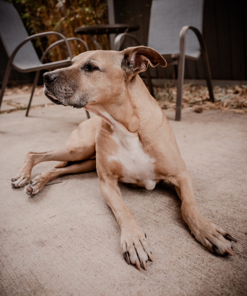 Murphy Test Photo with Leica Q3