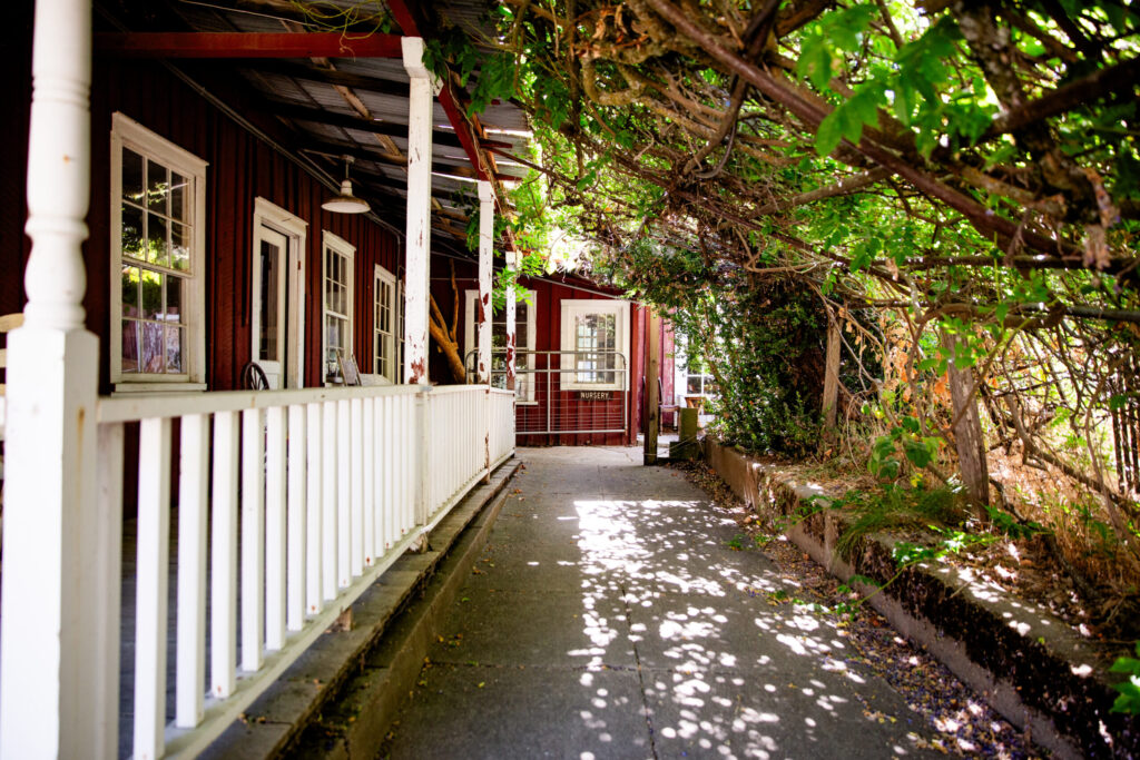 Mountain Sage Coffee in Groveland, California (2024)