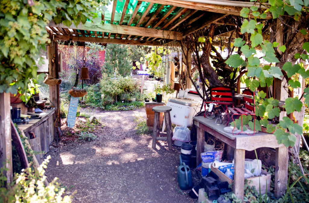 Mountain Sage Coffee in Groveland, California (2024)