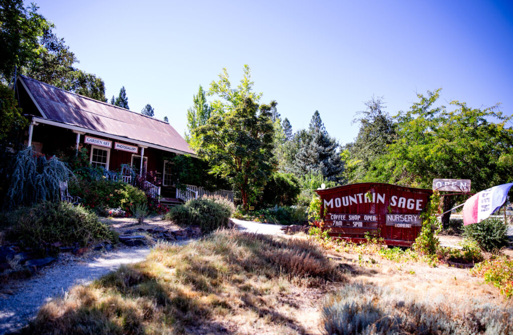 Mountain Sage Coffee in Groveland, California (2024)