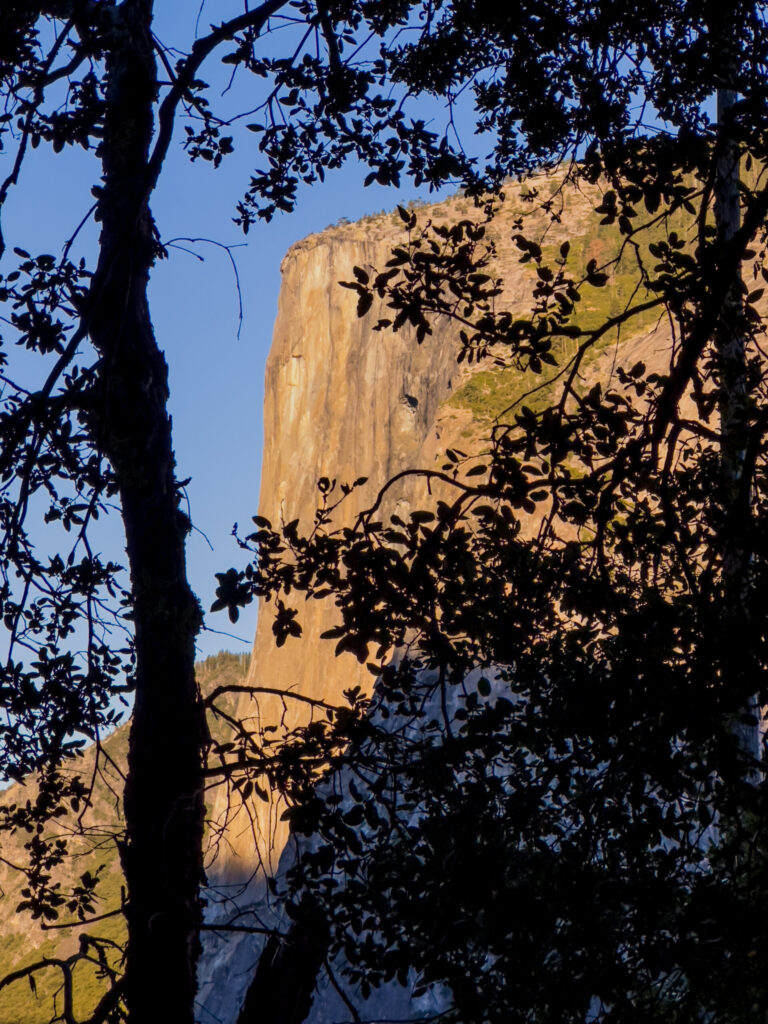 El Capitan from Four Mile Trail @ Yosemite National Park (2024)