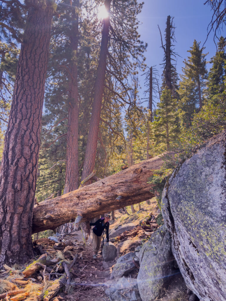 Carrie on the Panorama Trail @ Yosemite National Park (2024)