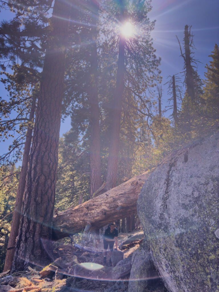 Lance on the Panorama Trail @ Yosemite National Park (2024)