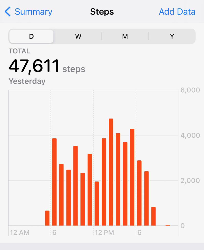 Steps for Half Dome Hike (2021)