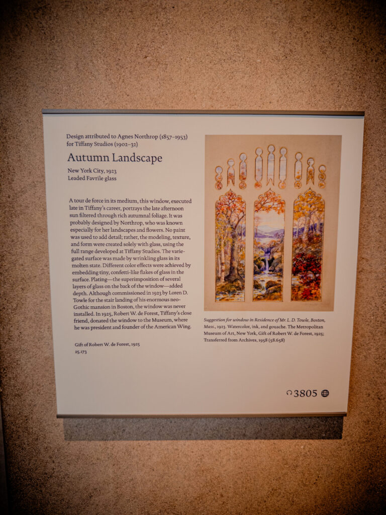 Tiffany Glass at The Met - New York City (2026)