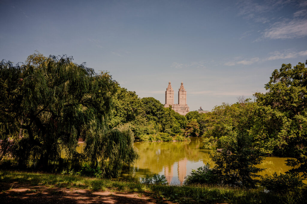 Central Park - New York City (2026)