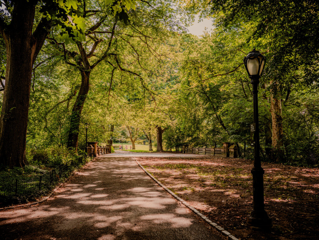 Lamppost Scene in Central Park - New York City (2026)