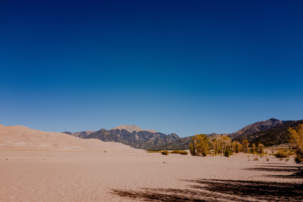 Medano Creek Sand Flats & Dune Base Groves — Great Sand Dunes National Park, Colorado (2026)