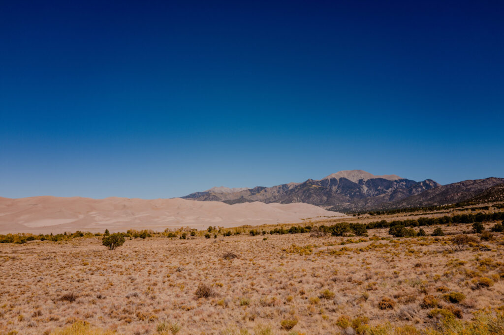 Main Dunefield Panorama & Sangre de Cristo Range — Great Sand Dunes National Park, Colorado (2026)