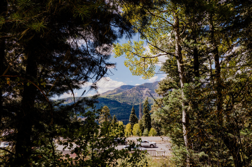 San Juan Valley View through Pine & Aspen Canopy — Pagosa Springs, Colorado (2026)