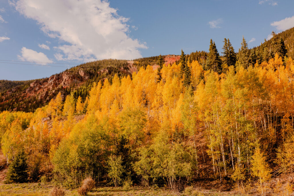 Color at base of Anvil Mountain along Million Dollar Highway - Colorado (2026)