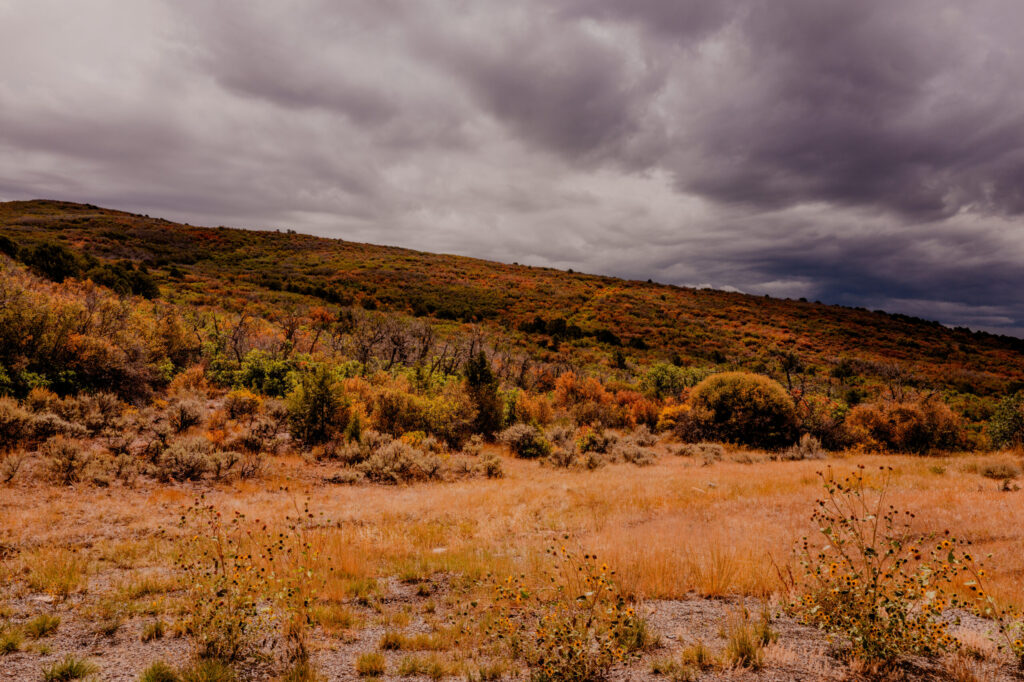 Autumn Scrubland & Stormy Sky — Montrose, Colorado (2026)