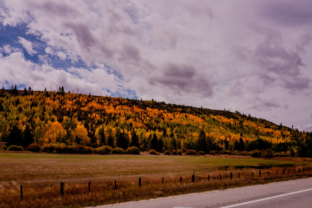 Color in Grand Lake Colorado (2026)